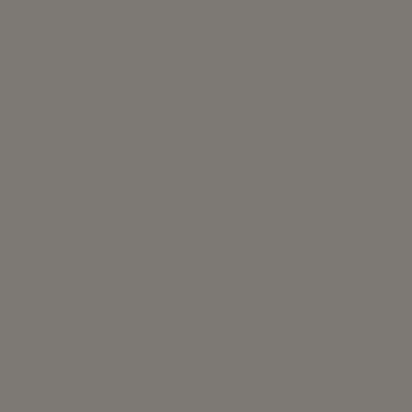 Aged Pewter color swatch