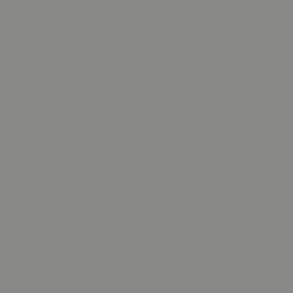 Gray Slate color swatch