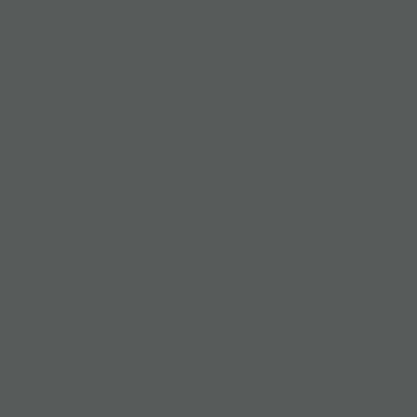 Iron Gray color swatch