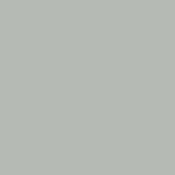 Light Mist color swatch